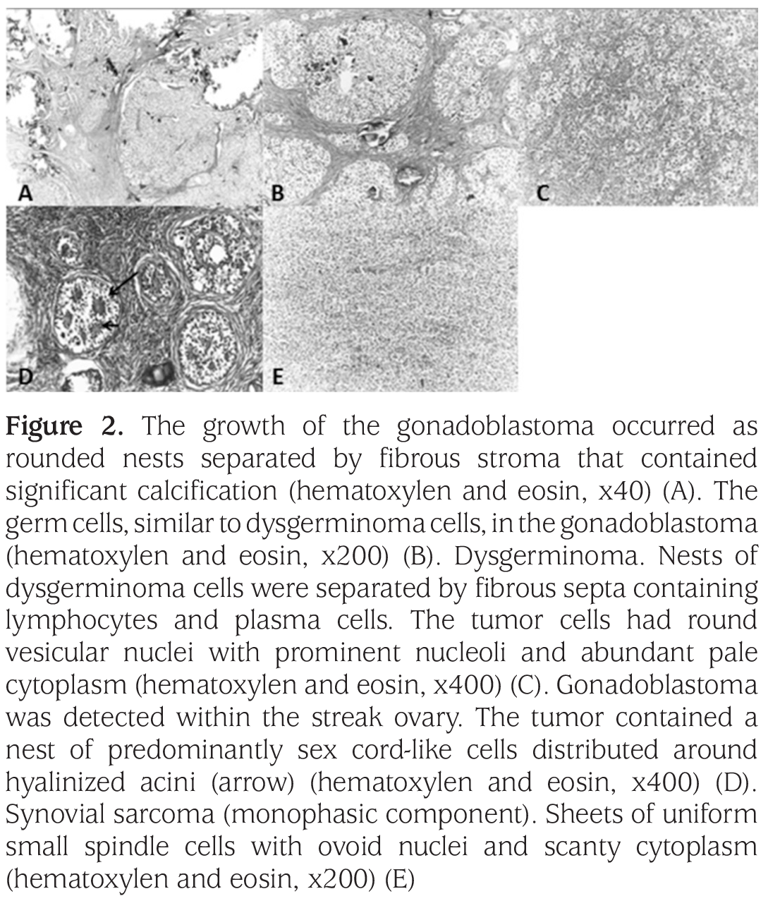 Figure 2