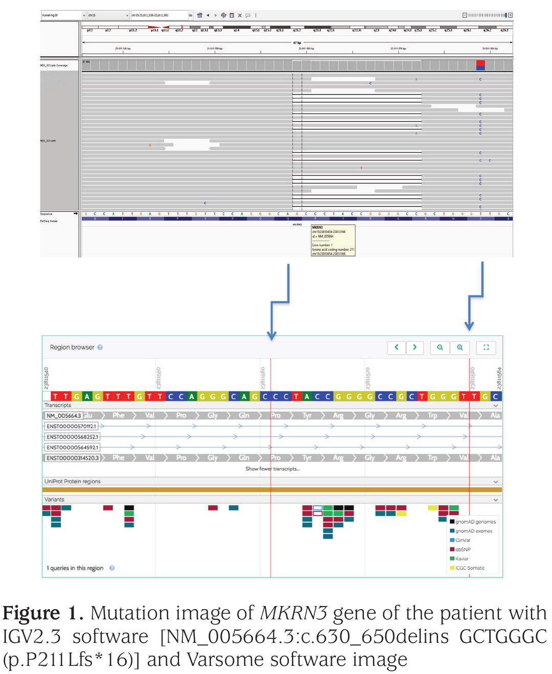 Figure 1