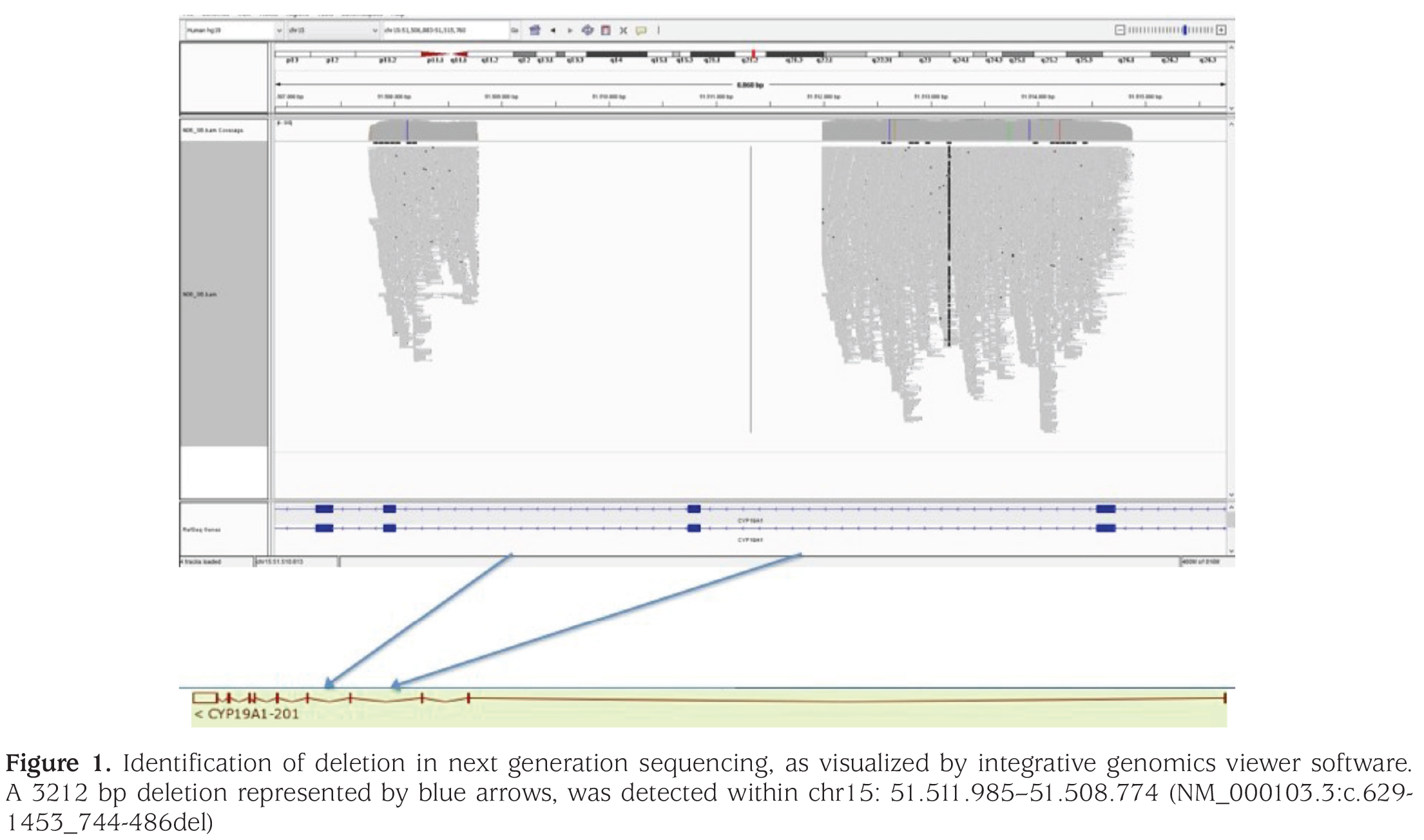 Figure 1