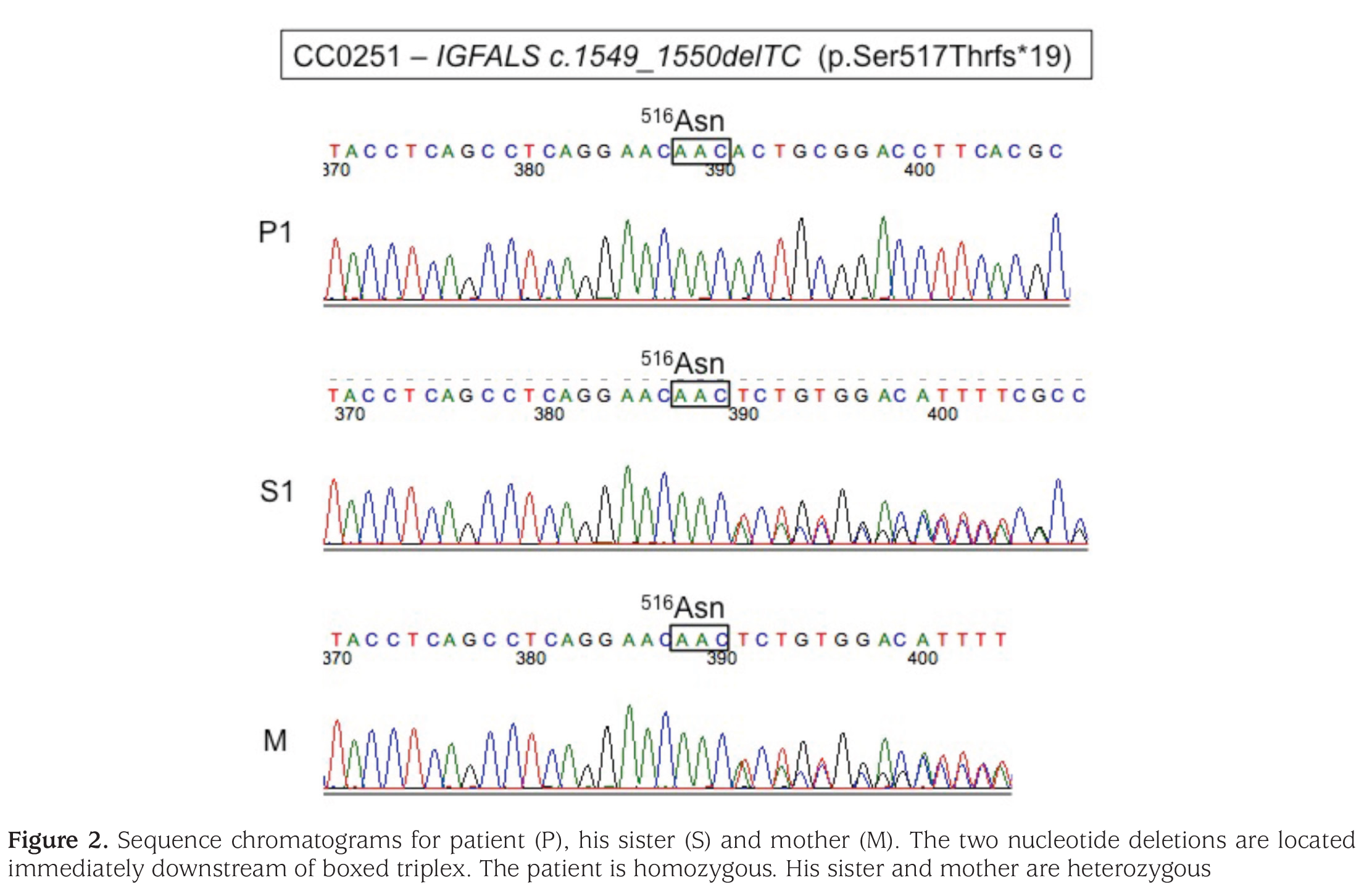 Figure 2