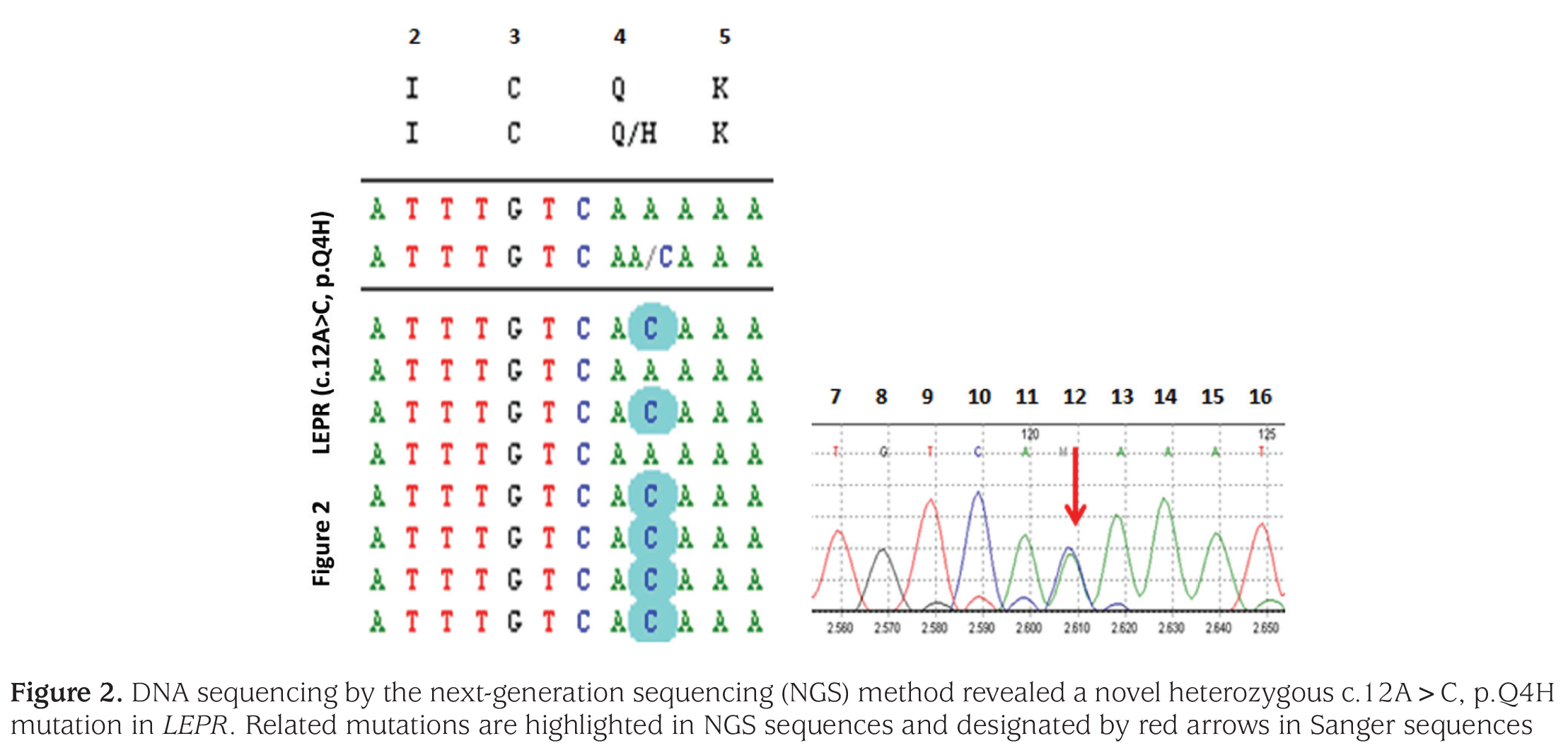 Figure 2