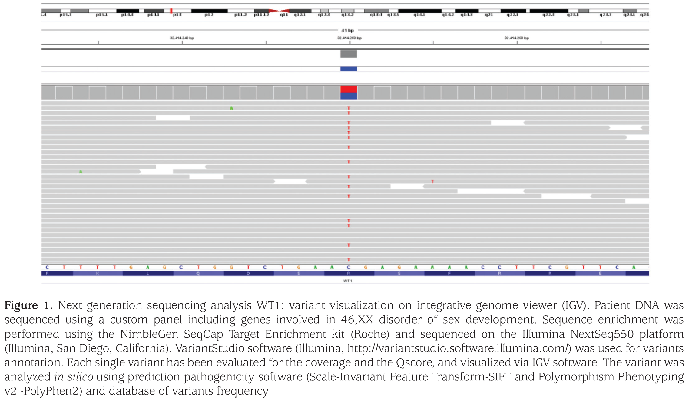 Figure 1