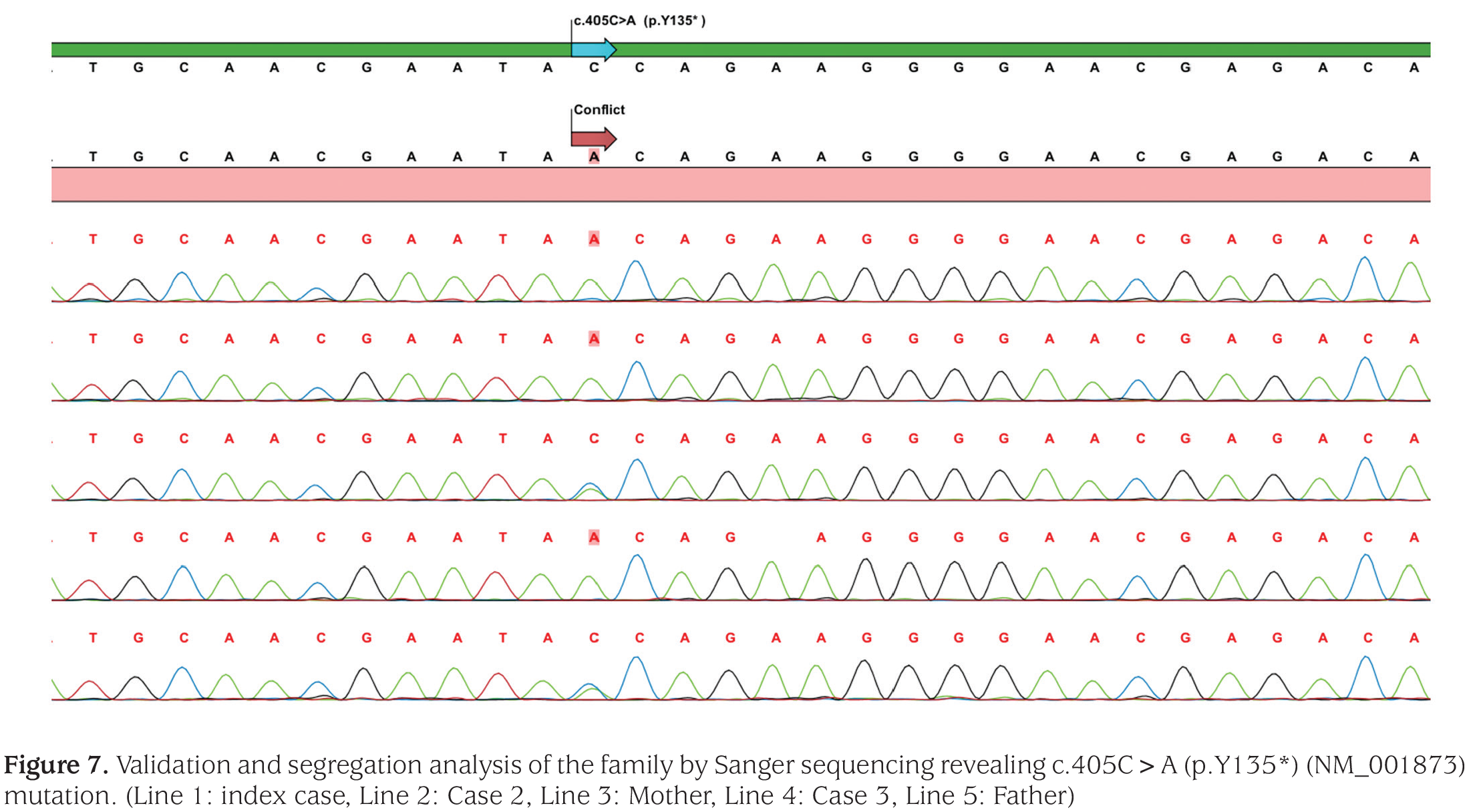 Figure 7