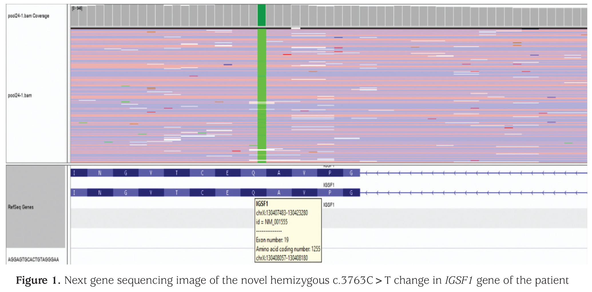 Figure 1