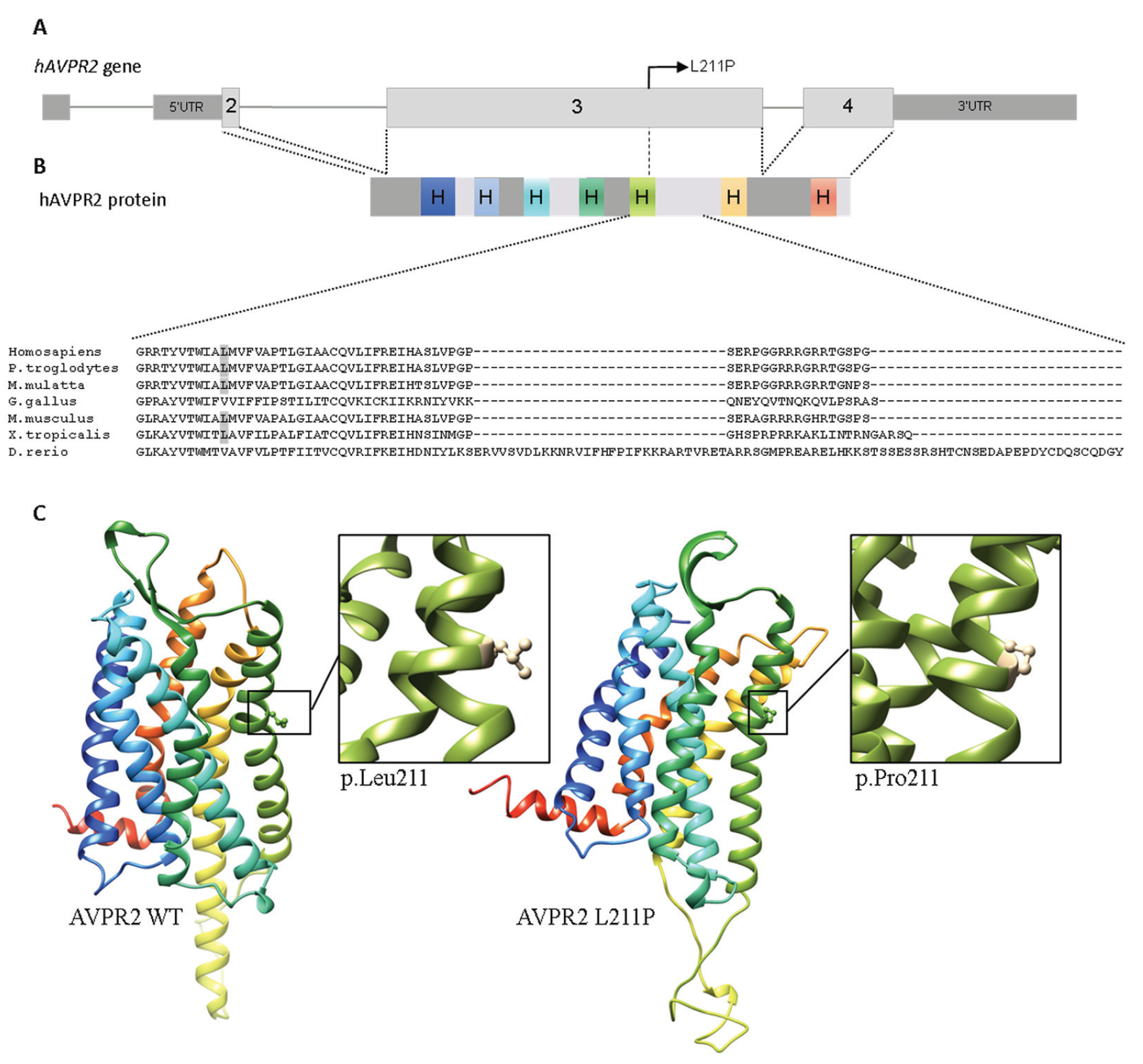 Figure 2