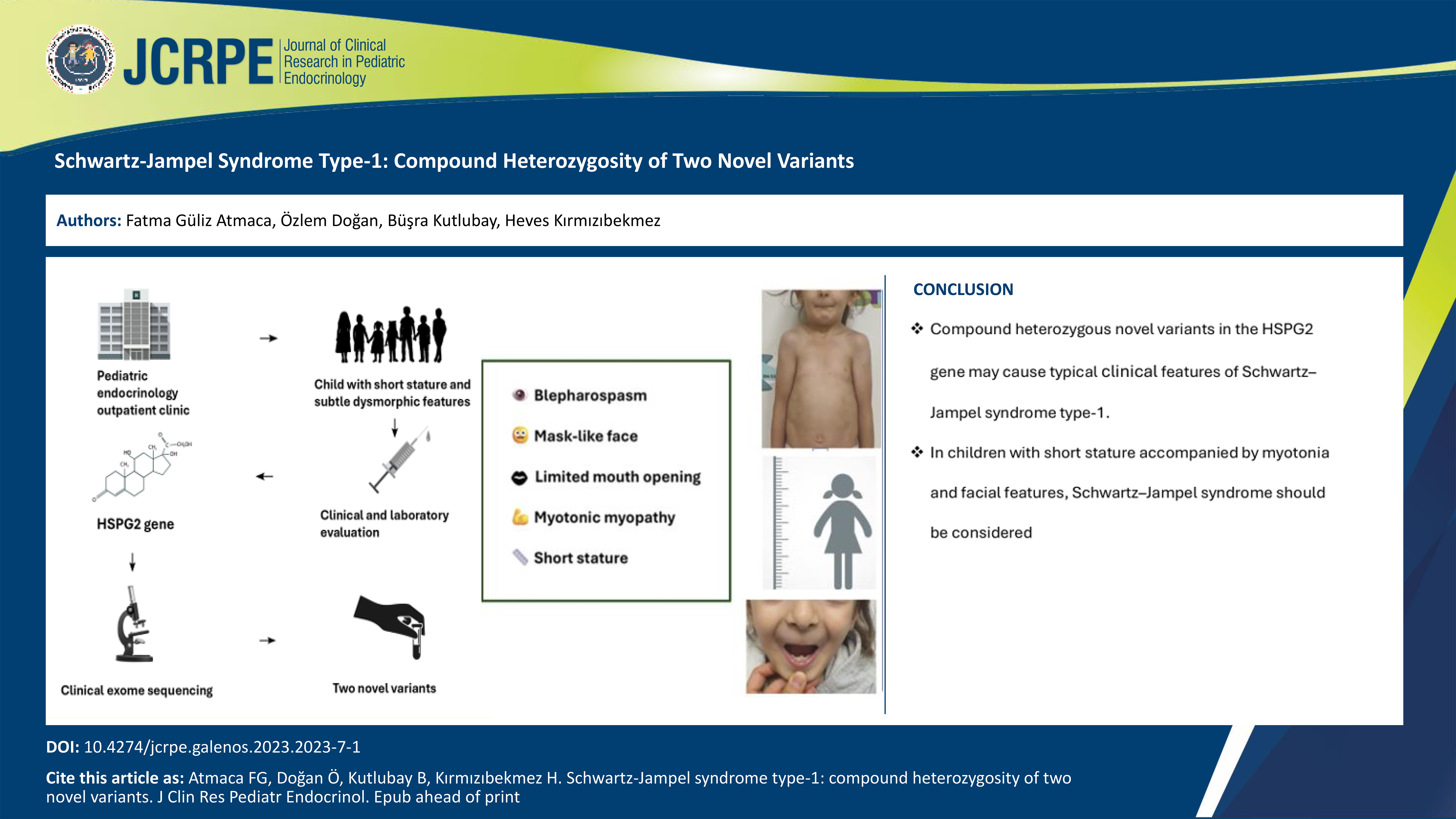 Graphical Abstract