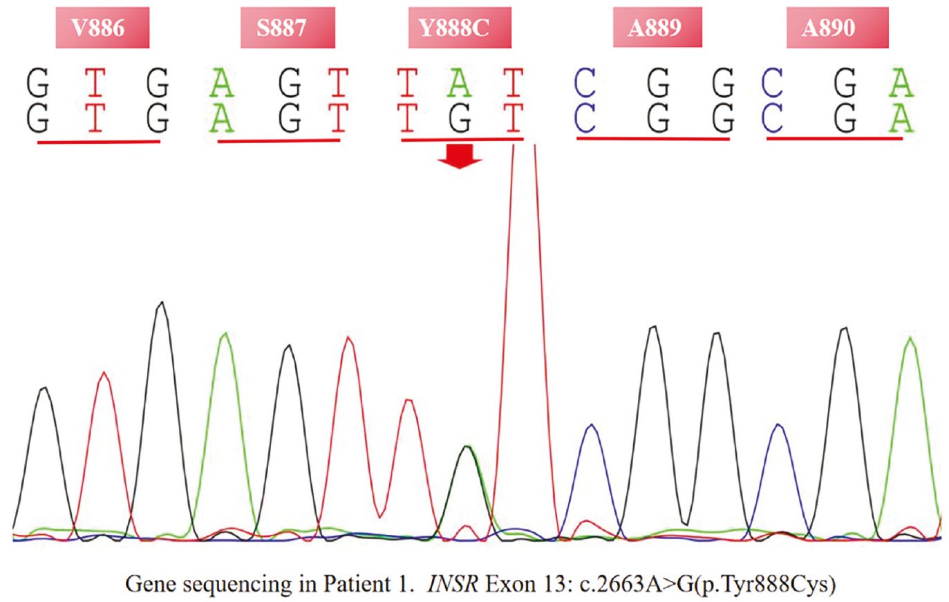 Figure 2