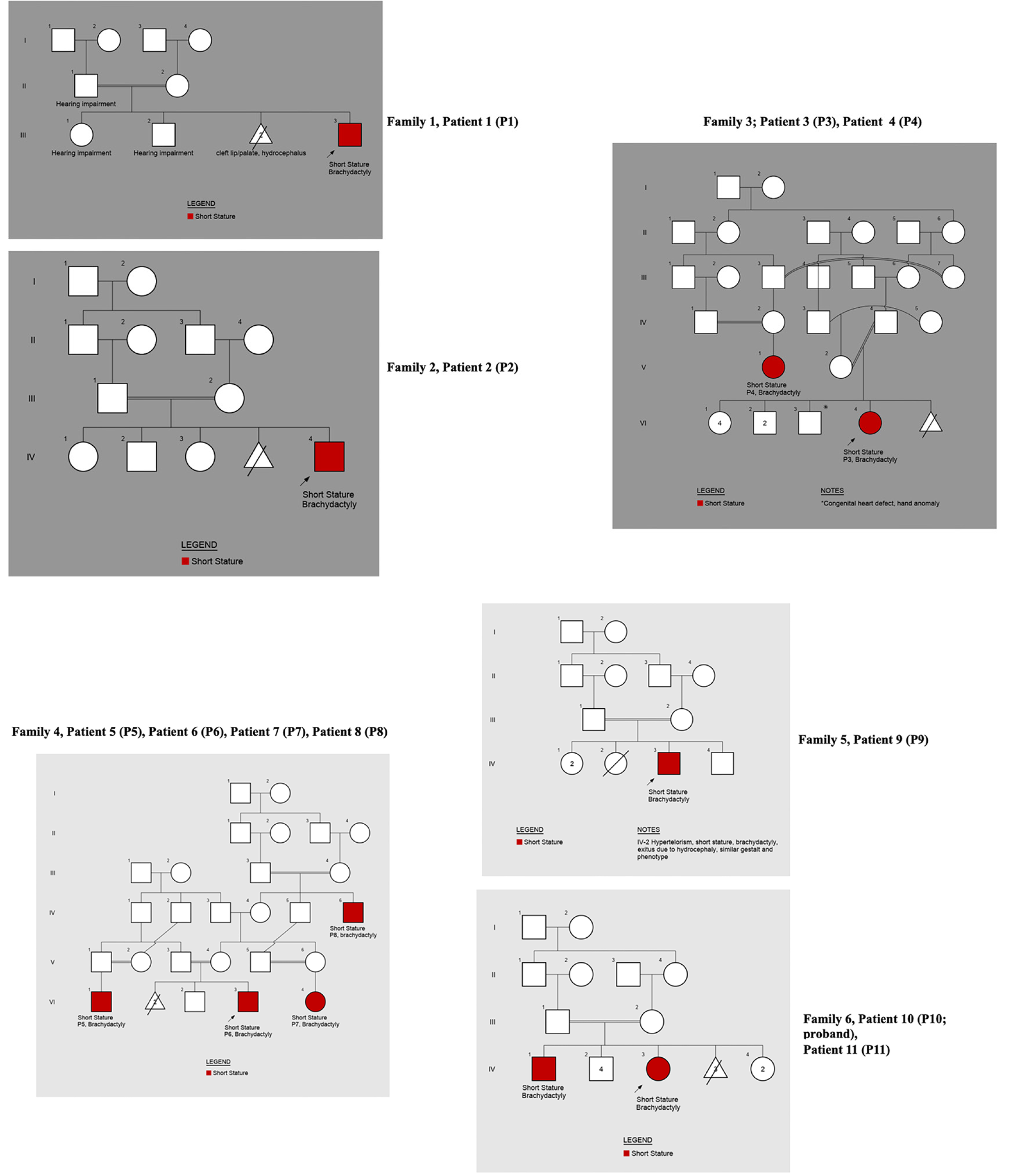 Supplementary Data 1