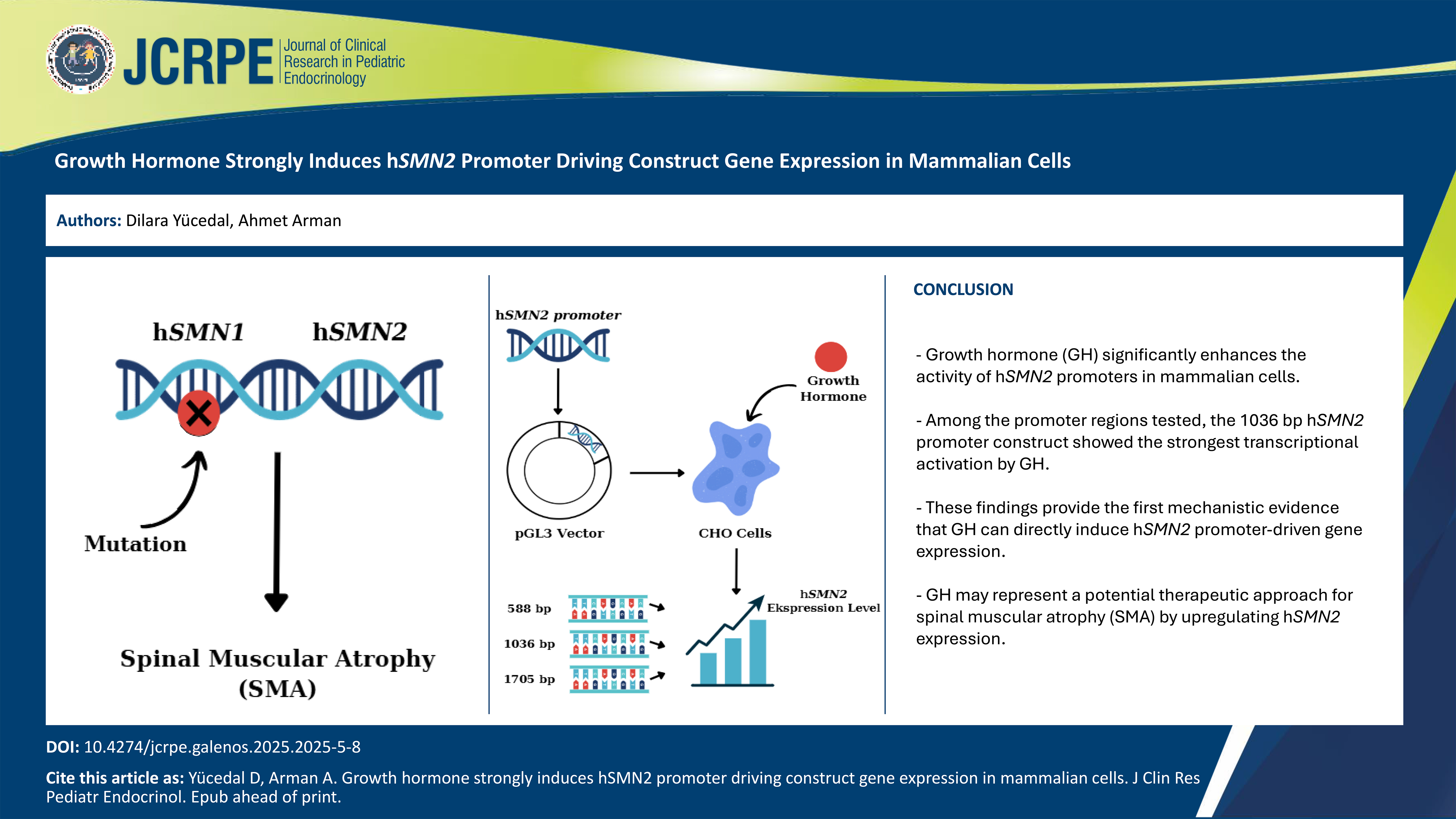 Graphical Abstract